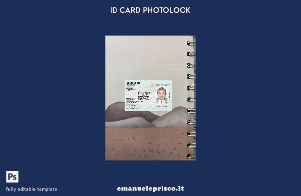 modello anteriore photolook versione carta d'identità norvegese stile verificato
